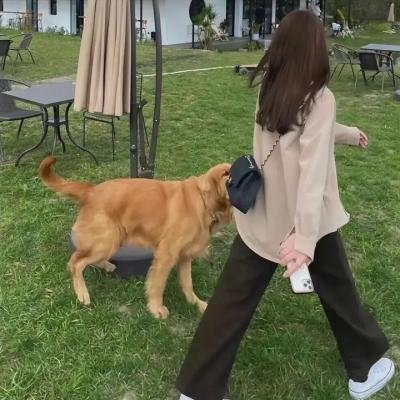 她才是主角